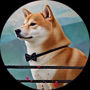 Dog 的會員頭像